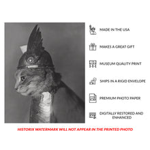 Load image into Gallery viewer, Digitally Restored and Enhanced 1936 Brunnhilde Cat Print - Valkyrie Costume Depression Era - Whimsical Feline Photography - Archival Print