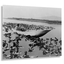 Load image into Gallery viewer, Digitally Restored and Enhanced 1923 Wokas Season Klamath Print - Indigenous Oregon Water Lily Harvest - Upper Klamath Lake - Archival Print