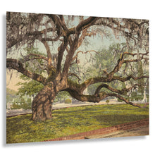 Load image into Gallery viewer, Digitally Restored and Enhanced 1900 Magnolia Cemetery Print - Charleston Live Oak Spanish Moss - South Carolina Southern Heritage - Archival Print