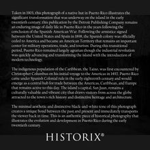 Load image into Gallery viewer, Digitally Restored and Enhanced 1903 A Native Hut in Puerto Rico Poster Photo - Vintage Photo of A Native Hut in San Juan Puerto Rico Wall Art Print