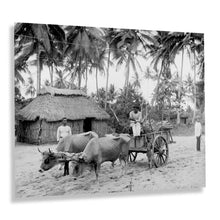 Load image into Gallery viewer, Digitally Restored and Enhanced 1903 Puerto Rican Country Scene Photo Print - Puerto Rico Vintage Poster - Old Country Scene of Puerto Rico Wall Art