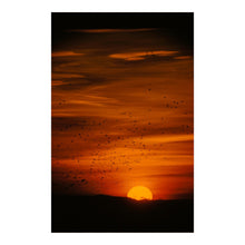 Load image into Gallery viewer, Digitally Restored and Enhanced 1958 Waterfowl Hunting Print - San Francisco Bay Pacific Flyway Duck Marsh - California Wetlands - Archival Print