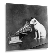Load image into Gallery viewer, Digitally Restored and Enhanced 1898 Nipper the Dog Photo Print - Vintage Dog Poster Wall Art Looking at and Listening to a Phonograph by Francis Berraud