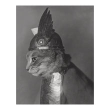 Load image into Gallery viewer, Digitally Restored and Enhanced 1936 Brunnhilde Cat Print - Valkyrie Costume Depression Era - Whimsical Feline Photography - Archival Print