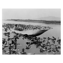 Load image into Gallery viewer, Digitally Restored and Enhanced 1923 Wokas Season Klamath Print - Indigenous Oregon Water Lily Harvest - Upper Klamath Lake - Archival Print