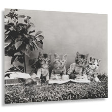 Load image into Gallery viewer, Digitally Restored and Enhanced 1914 Dressed Kittens Picnic Print - Antique Cat Photography Whimsical Animal Art - Novelty Portrait - Archival Print