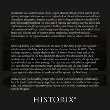 Load image into Gallery viewer, Digitally Restored and Enhanced 1883 Mandan North Dakota Map Poster - Old Bird's Eye View of Mandan City Morton County North Dakota State Map Wall Art