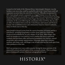 Cargar imagen en el visor de la galería, Digitally Restored and Enhanced 1868 Saint Joseph Missouri Map Poster - Vintage Bird's Eye View of the City of St Joseph Missouri Wall Art Map Print