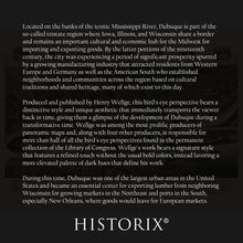 Load image into Gallery viewer, Digitally Restored and Enhanced 1889 Dubuque Iowa Map Poster - Vintage Perspective Map of Dubuque City Iowa Poster Print - History Map of Iowa Wall Art