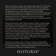 Load image into Gallery viewer, Digitally Restored and Enhanced 1868 Marion Iowa Map Poster - Bird's Eye View of Marion Iowa Wall Map - Vintage Map of Iowa State Poster Wall Art Print