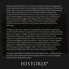 Load image into Gallery viewer, Digitally Restored and Enhanced 1888 Sioux City Iowa Map Poster - Old Perspective View of Sioux City Map of Iowa Poster - History Map of Sioux City Iowa