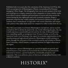 Load image into Gallery viewer, Digitally Restored and Enhanced 1867 Bloomington Illinois Map Poster - Vintage Bird's Eye View of Bloomington City Map of Illinois Poster Print Wall Art