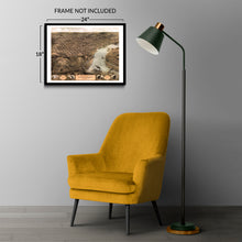 Cargar imagen en el visor de la galería, Digitally Restored and Enhanced 1868 Saint Joseph Missouri Map Poster - Vintage Bird's Eye View of the City of St Joseph Missouri Wall Art Map Print