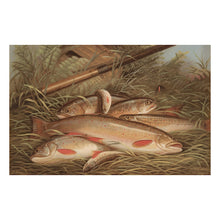 Cargar imagen en el visor de la galería, Digitally Restored and Enhanced 1868 Brook Trout Print - Currier Ives Fishing Angling Wildlife Natural History Sporting - Gilded Age - Archival Print