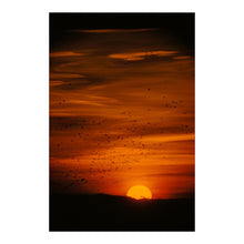 Load image into Gallery viewer, Digitally Restored and Enhanced 1958 Waterfowl Hunting Print - San Francisco Bay Pacific Flyway Duck Marsh - California Wetlands - Archival Print