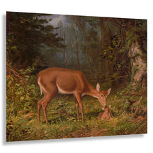 Cargar imagen en el visor de la galería, Digitally Restored and Enhanced 1870 Deer Doe and Fawn Art Print - Victorian Woodland Wildlife - Whitetail Nursery and Bedroom Decor - Museum-Quality Print