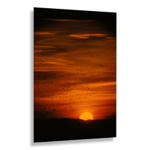 Load image into Gallery viewer, Digitally Restored and Enhanced 1958 Waterfowl Hunting Print - San Francisco Bay Pacific Flyway Duck Marsh - California Wetlands - Archival Print