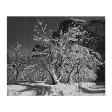 Cargar imagen en el visor de la galería, Digitally Restored and Enhanced 1933 Ansel Adams Half Dome Yosemite Photograph - Apple Orchard Snow - National Park Art - Archival Print