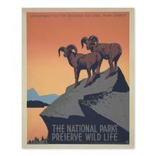Load image into Gallery viewer, Digitally Restored and Enhanced 1936 National Parks Wildlife Conservation Poster - WPA Federal Art Project - Depression Era Environmental Campaign - Gallery Print