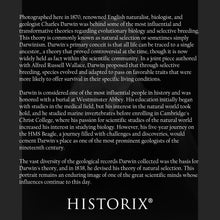 Cargar imagen en el visor de la galería, Digitally Restored and Enhanced 1870 Charles Darwin Photo Print - Vintage Photo of Theory of Evolution by Natural Selection Author Charles Darwin Poster