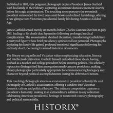 Load image into Gallery viewer, Digitally Restored and Enhanced 1882 President James Garfield Family Library Portrait - Gilded Age American Political History - Archival Print
