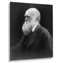 Cargar imagen en el visor de la galería, Digitally Restored and Enhanced 1870 Charles Darwin Photo Print - Vintage Photo of Theory of Evolution by Natural Selection Author Charles Darwin Poster