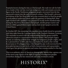 Load image into Gallery viewer, Digitally Restored and Enhanced 1900 Chief Joseph Photo Print - Old Photo of Hin-Mah-Too-Yah-Lat-Kekt Nez Perce Chief in Traditional Dress Wall Art Poster