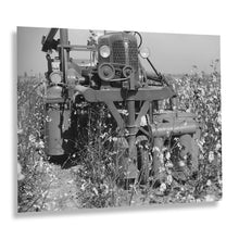 Load image into Gallery viewer, Digitally Restored and Enhanced 1939 Rust Cotton Picker Photo Print - Old Photo of Cotton Picker in Cloverdale Plantation Clarksdale Mississippi Poster