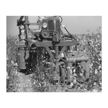 Load image into Gallery viewer, Digitally Restored and Enhanced 1939 Rust Cotton Picker Photo Print - Old Photo of Cotton Picker in Cloverdale Plantation Clarksdale Mississippi Poster