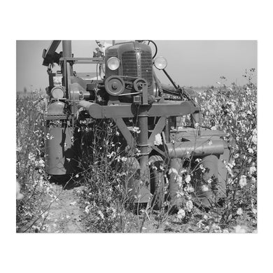 Digitally Restored and Enhanced 1939 Rust Cotton Picker Photo Print - Old Photo of Cotton Picker in Cloverdale Plantation Clarksdale Mississippi Poster