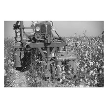 Load image into Gallery viewer, Digitally Restored and Enhanced 1939 Rust Cotton Picker Photo Print - Old Photo of Cotton Picker in Cloverdale Plantation Clarksdale Mississippi Poster