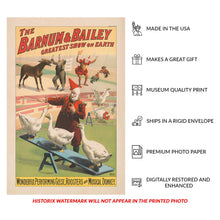 Load image into Gallery viewer, Digitally Restored and Enhanced 1900 Barnum & Bailey Circus Poster - Performing Geese Roosters Musical Donkey - Victorian Animal Act - Archival Print