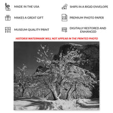 Cargar imagen en el visor de la galería, Digitally Restored and Enhanced 1933 Ansel Adams Half Dome Yosemite Photograph - Apple Orchard Snow - National Park Art - Archival Print