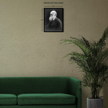 Cargar imagen en el visor de la galería, Digitally Restored and Enhanced 1870 Charles Darwin Photo Print - Vintage Photo of Theory of Evolution by Natural Selection Author Charles Darwin Poster