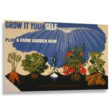 Load image into Gallery viewer, Digitally Restored and Enhanced 1941 Grow It Yourself Victory Garden WWII WPA Federal Art Project Poster - World War II Home Front Art - Archival Reproduction