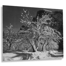 Cargar imagen en el visor de la galería, Digitally Restored and Enhanced 1933 Ansel Adams Half Dome Yosemite Photograph - Apple Orchard Snow - National Park Art - Archival Print