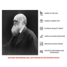 Cargar imagen en el visor de la galería, Digitally Restored and Enhanced 1870 Charles Darwin Photo Print - Vintage Photo of Theory of Evolution by Natural Selection Author Charles Darwin Poster