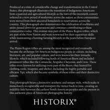 Cargar imagen en el visor de la galería, Digitally Restored and Enhanced 1901 Native American Woman Photo Print - Vintage Portrait Photo of Native American Woman with Baby on Back Wall Art Poster