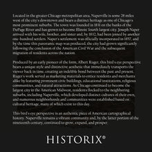 Load image into Gallery viewer, Digitally Restored and Enhanced 1869 Naperville Illinois Map Poster - Old Bird's Eye View of Naperville IL - Naperville Dupage County Illinois Wall Art