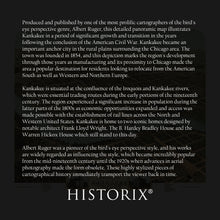 Load image into Gallery viewer, Digitally Restored and Enhanced 1869 Kankakee Illinois Map Poster - Old Map of Kankakee Illinois Wall Art - Bird's Eye View History Map of Illinois Poster