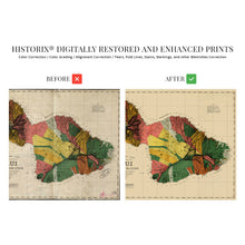 Cargar imagen en el visor de la galería, Digitally Restored and Enhanced 1885 Map of Maui Hawaii - Vintage Maui Poster - Historic Maui Wall Art - Restored Vintage Maui Map - Old Maui Hawaii History Map