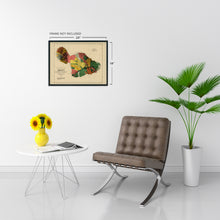Cargar imagen en el visor de la galería, Digitally Restored and Enhanced 1885 Map of Maui Hawaii - Vintage Maui Poster - Historic Maui Wall Art - Restored Vintage Maui Map - Old Maui Hawaii History Map