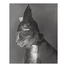 Load image into Gallery viewer, Digitally Restored and Enhanced 1936 Brunnhilde Cat Print - Valkyrie Costume Depression Era - Whimsical Feline Photography - Archival Print
