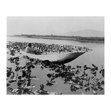 Load image into Gallery viewer, Digitally Restored and Enhanced 1923 Wokas Season Klamath Print - Indigenous Oregon Water Lily Harvest - Upper Klamath Lake - Archival Print
