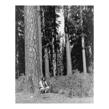 Load image into Gallery viewer, Digitally Restored and Enhanced 1923 In the Forest Klamath Print - Indigenous Oregon Pacific Northwest - Ponderosa Pine Heritage - Archival Print
