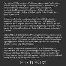 Cargar imagen en el visor de la galería, Digitally Restored and Enhanced 1882 Chester A. Arthur Print - Presidential Portrait - Gilded Age Civil Service Reform Era - Archival Print
