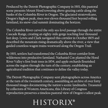 Cargar imagen en el visor de la galería, Digitally Restored and Enhanced 1901 Mt. Hood Print - Columbia River Oregon Pastoral - Cascade Range Farmland Oregon Trail - Archival Print
