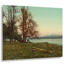 Cargar imagen en el visor de la galería, Digitally Restored and Enhanced 1901 Mt. Hood Print - Columbia River Oregon Pastoral - Cascade Range Farmland Oregon Trail - Archival Print
