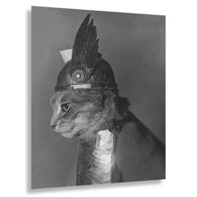 Load image into Gallery viewer, Digitally Restored and Enhanced 1936 Brunnhilde Cat Print - Valkyrie Costume Depression Era - Whimsical Feline Photography - Archival Print
