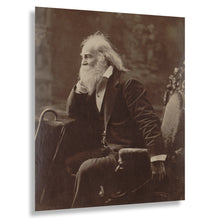 Load image into Gallery viewer, 1881 Walt Whitman Print - American Poet Portrait - Leaves of Grass Literary Heritage Victorian - Archival Print

